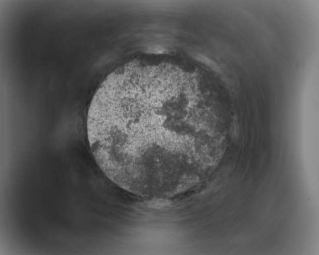 X0000088671446200706281912