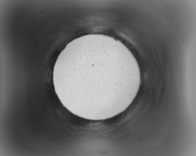 X0000088671447200706281912