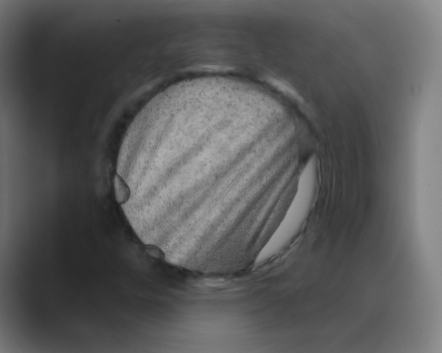 X0000088671448200706281912