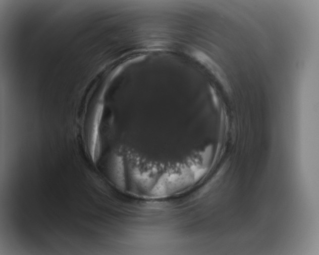 X0000088671449200706281912