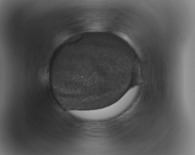 X0000088671450200706281912