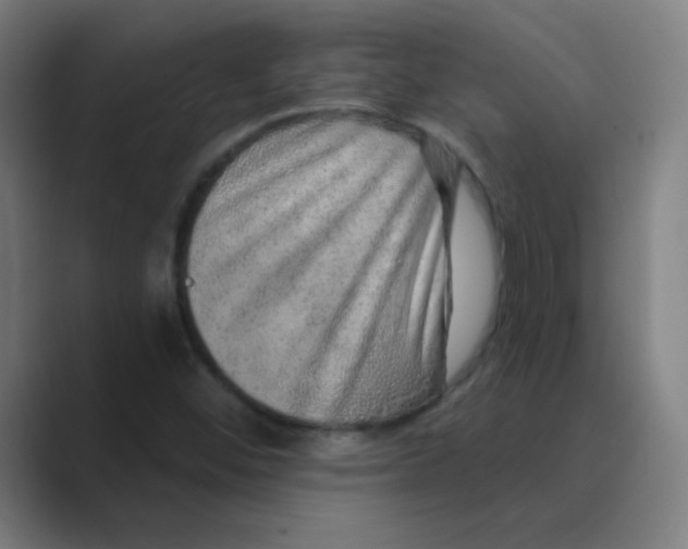 X0000088671452200706281912