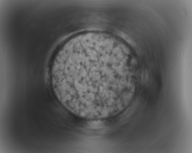X0000088671454200706281912