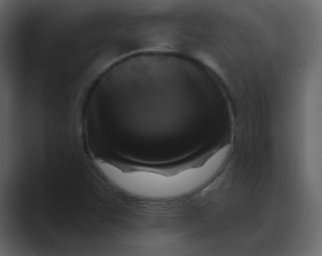 X0000088671455200706281912