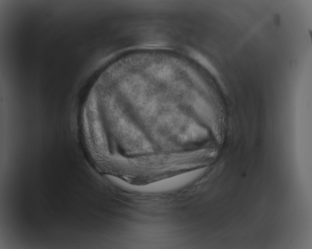 X0000088671456200706281912