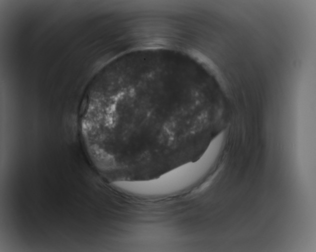 X0000088671457200706281912