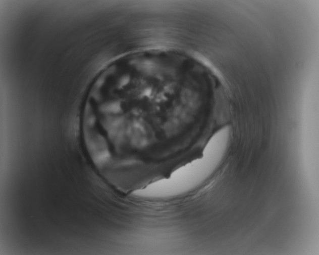 X0000088671459200706281912