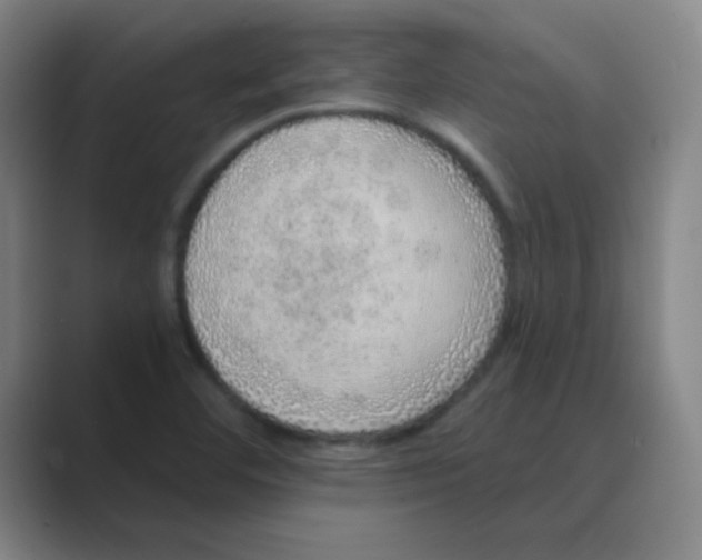 X0000088671460200706281912