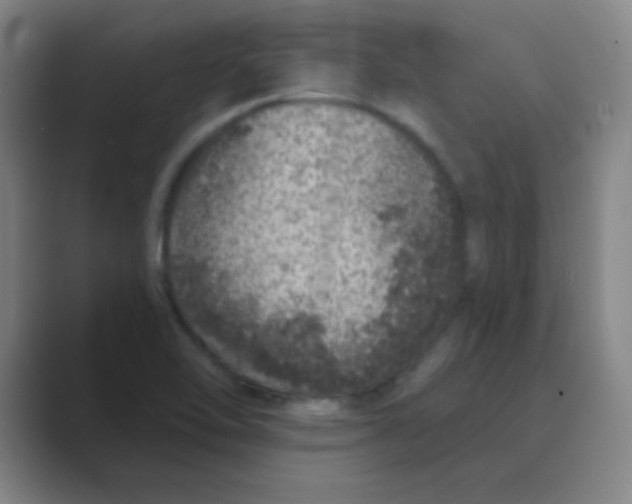 X0000088671462200706281912