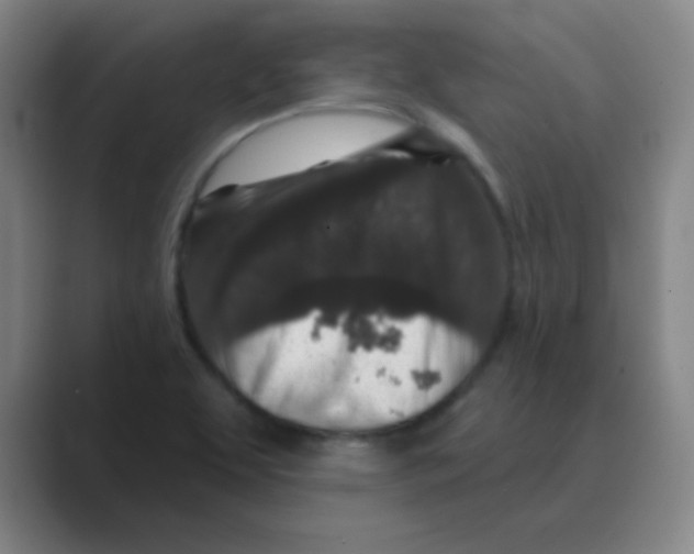 X0000088671463200706281912