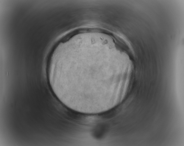 X0000088671464200706281912