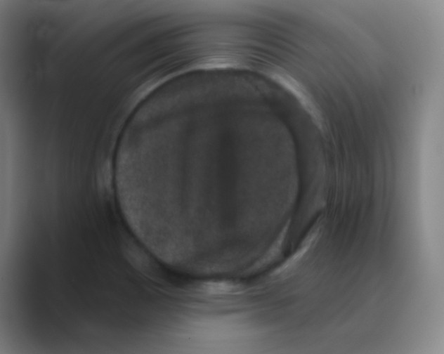 X0000088671465200706281912