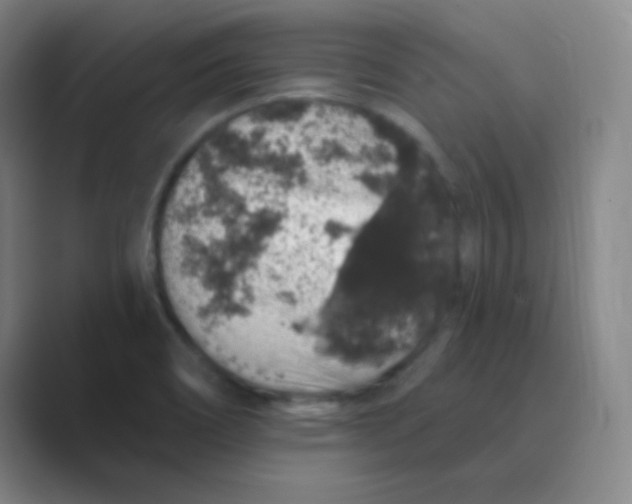 X0000088671466200706281912