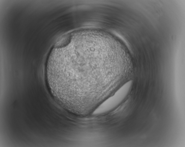 X0000088671467200706281912