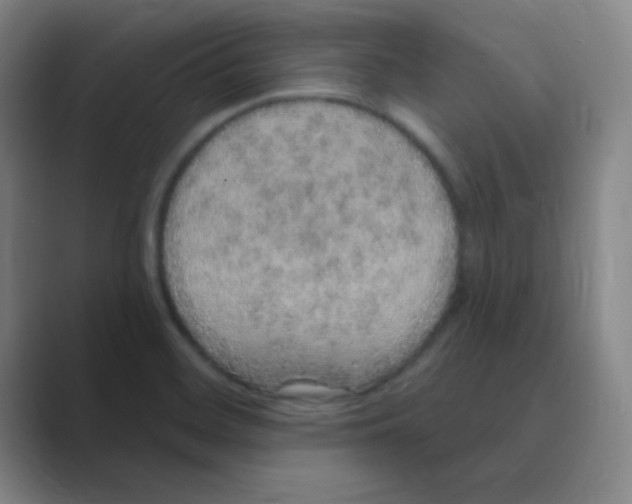 X0000088671468200706281912