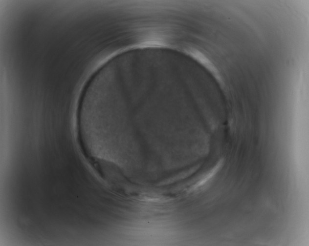 X0000088671469200706281912