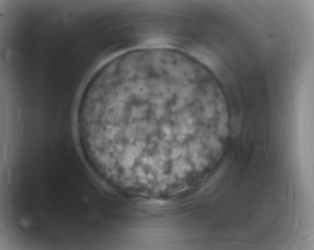 X0000088671470200706281912