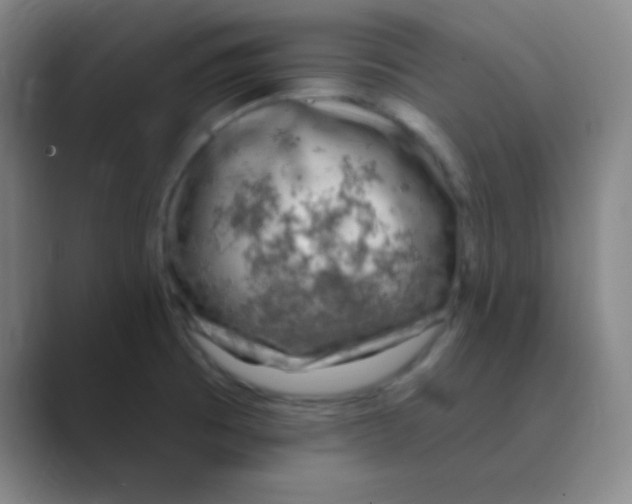 X0000088671473200706281912