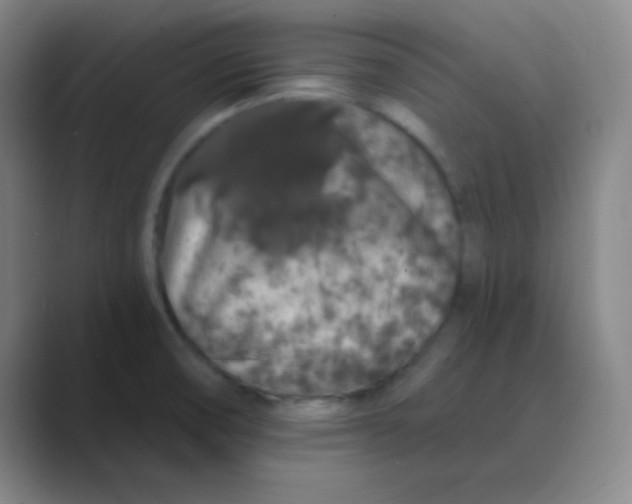 X0000088671474200706281912
