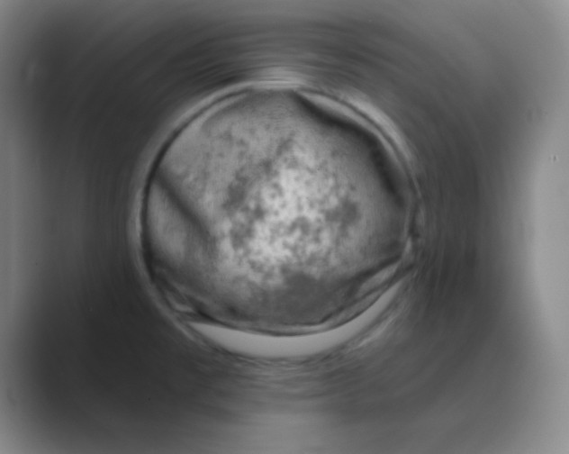 X0000088671477200706281912