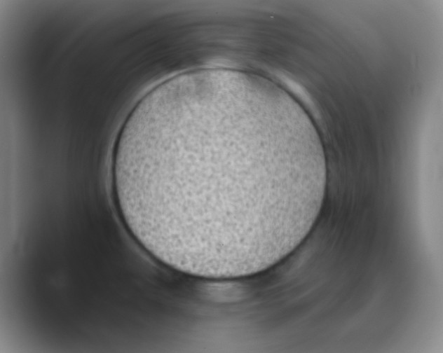 X0000088671479200706281912