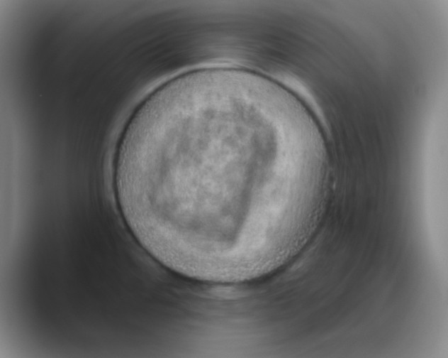 X0000088671480200706281912