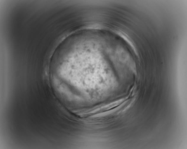 X0000088671481200706281912