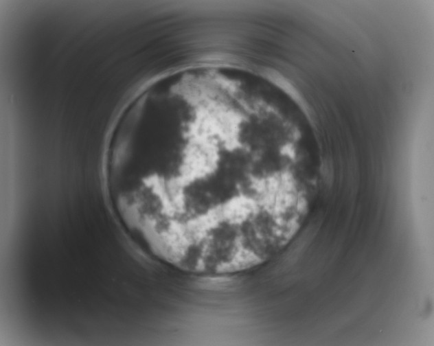 X0000088671482200706281911