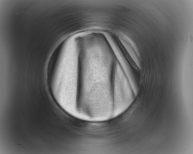 X0000088671483200706281911