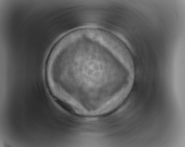 X0000088671484200706281911