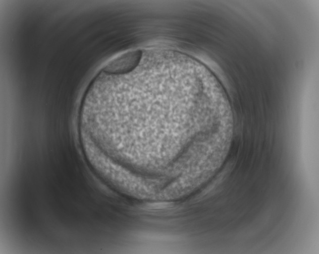 X0000088671486200706281911