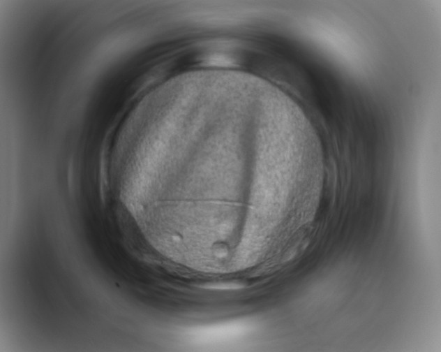 X0000088671487200706281911