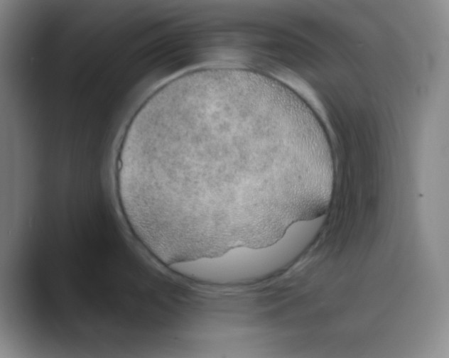 X0000088671488200706281911