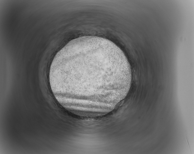 X0000088671489200706281911