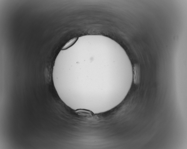 X0000088671491200706281911