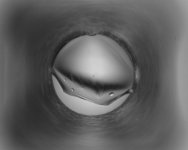 X0000088671492200706281911
