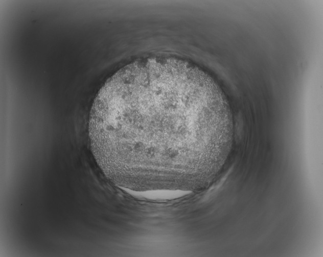 X0000088671494200706281911
