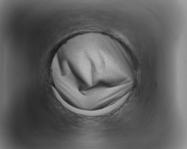 X0000088671496200706281911
