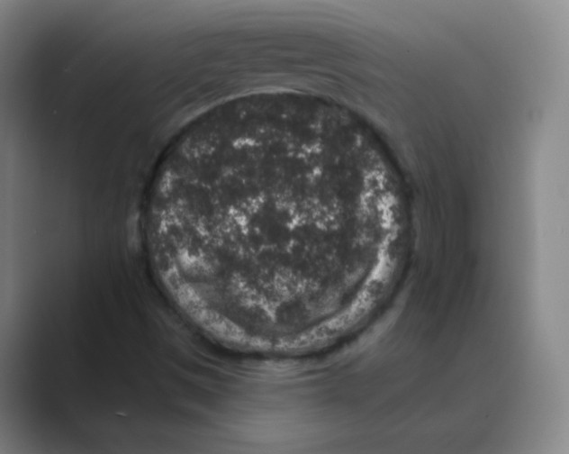 X0000088671497200706281911