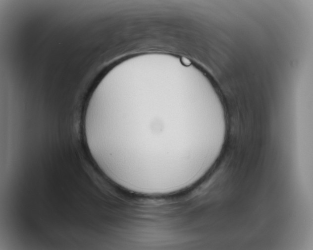 X0000088671499200706281911