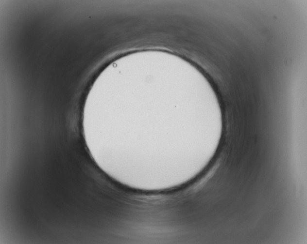 X0000088671502200706281911