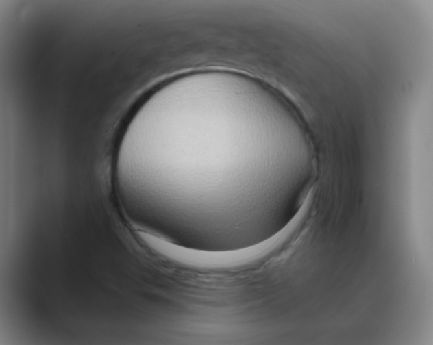 X0000088671503200706281911