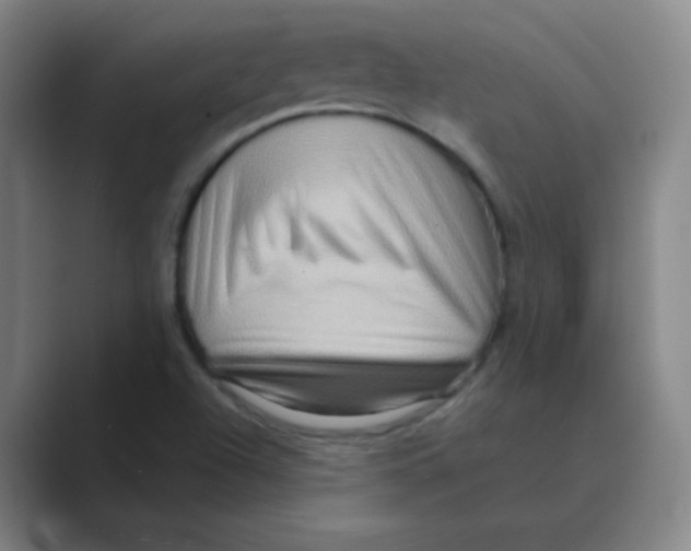 X0000088671504200706281911