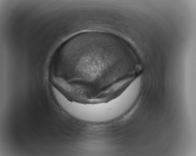 X0000088671506200706281911