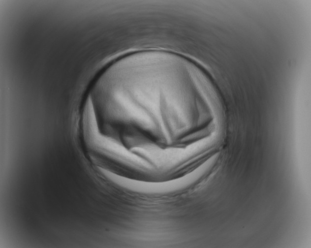 X0000088671507200706281911