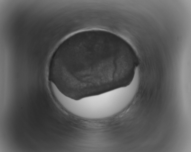 X0000088671508200706281911