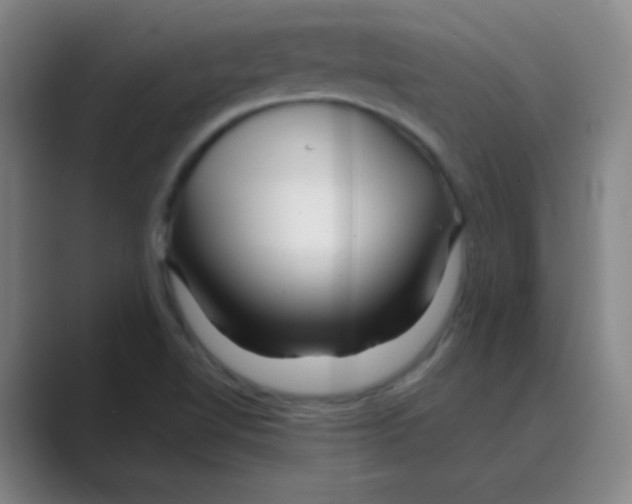 X0000088671510200706281911