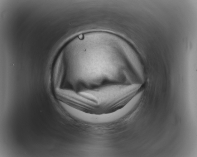 X0000088671511200706281911
