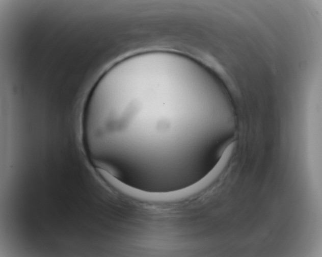 X0000088671512200706281911
