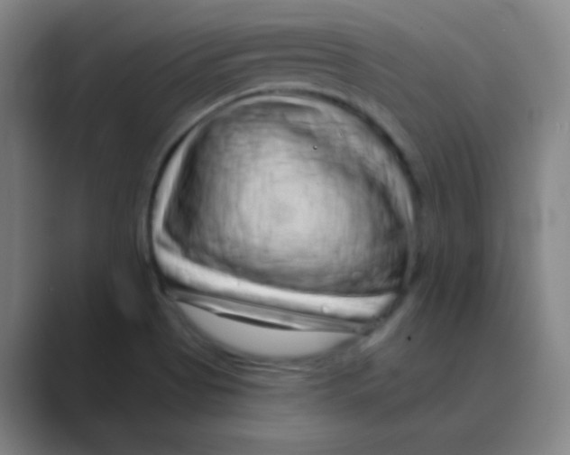 X0000088671513200706281911